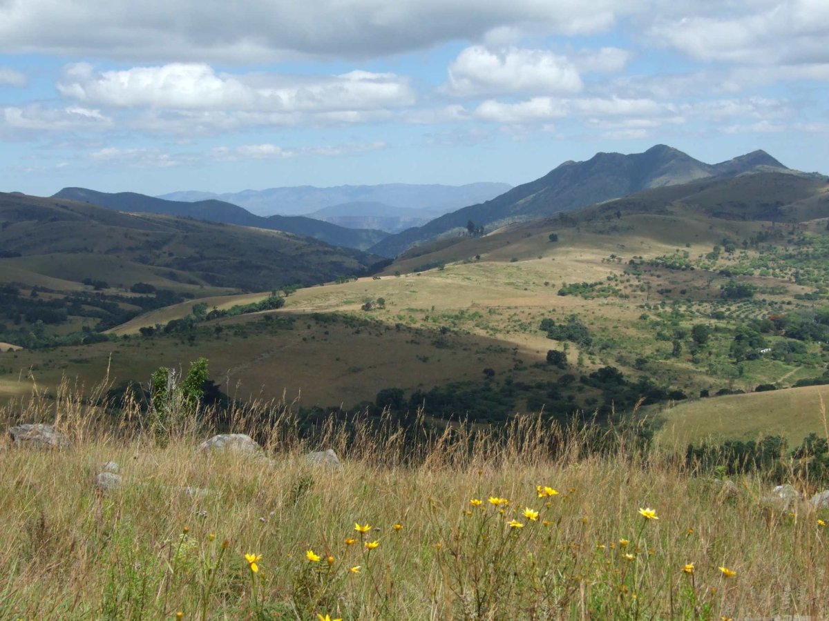 1. Overview / Oorsig