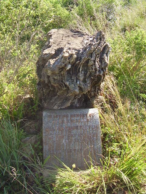 CUFFLIN Walter Frank 1860-1922