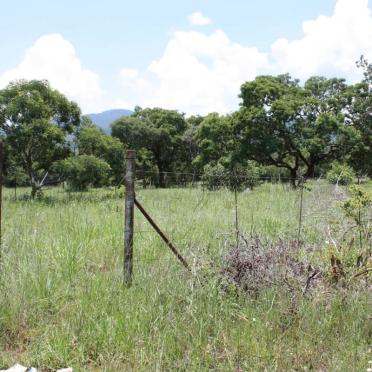 1. Entrance to the gravesite