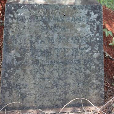 MOSTERT Wilhelmina ?