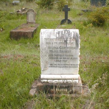 BRANDT Helena Gertruida Maria geb. DREYER 1916-1937