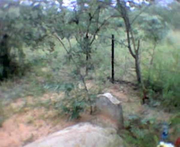 MERWE Stefanus Petrus, van der 1870-1937