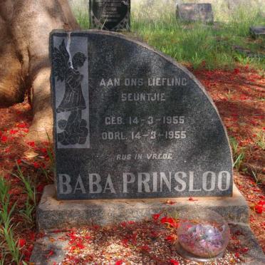 PRINSLOO Baba 1955-1955