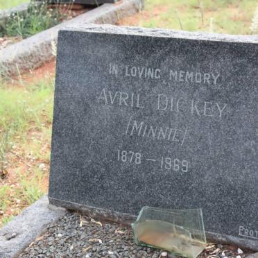 D - Vanne :: Surnames - D