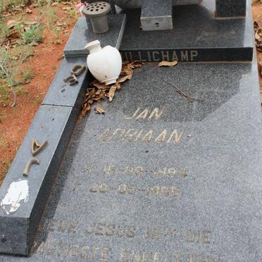 ULLICHAMP Jan Adriaan 1994-1995