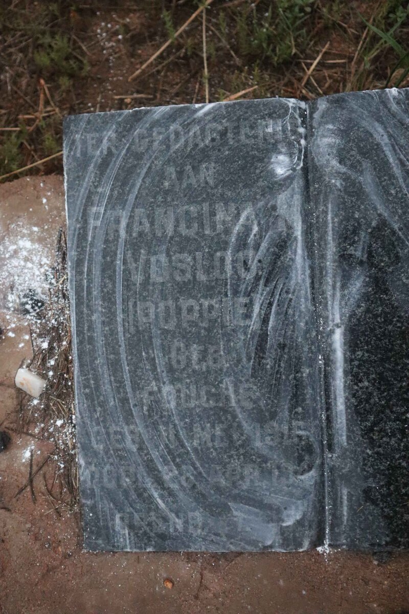 VOSLOO Francina nee FOUCHE 1915-1944