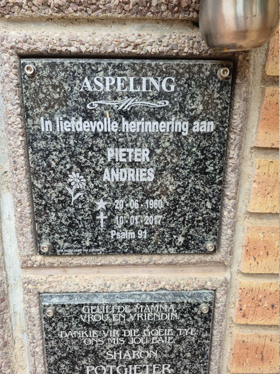 ASPELING Pieter Andries 1960-2017
