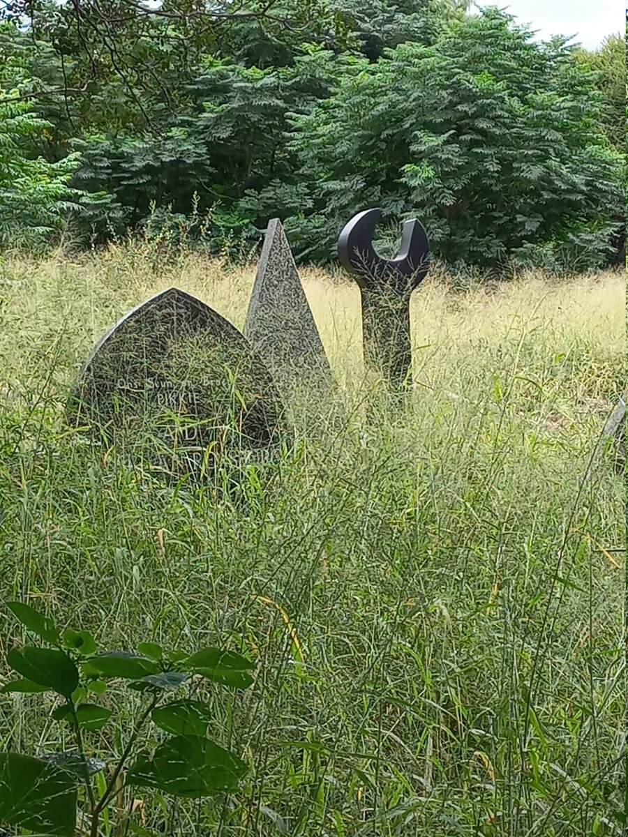 07. Oorsig / Overview