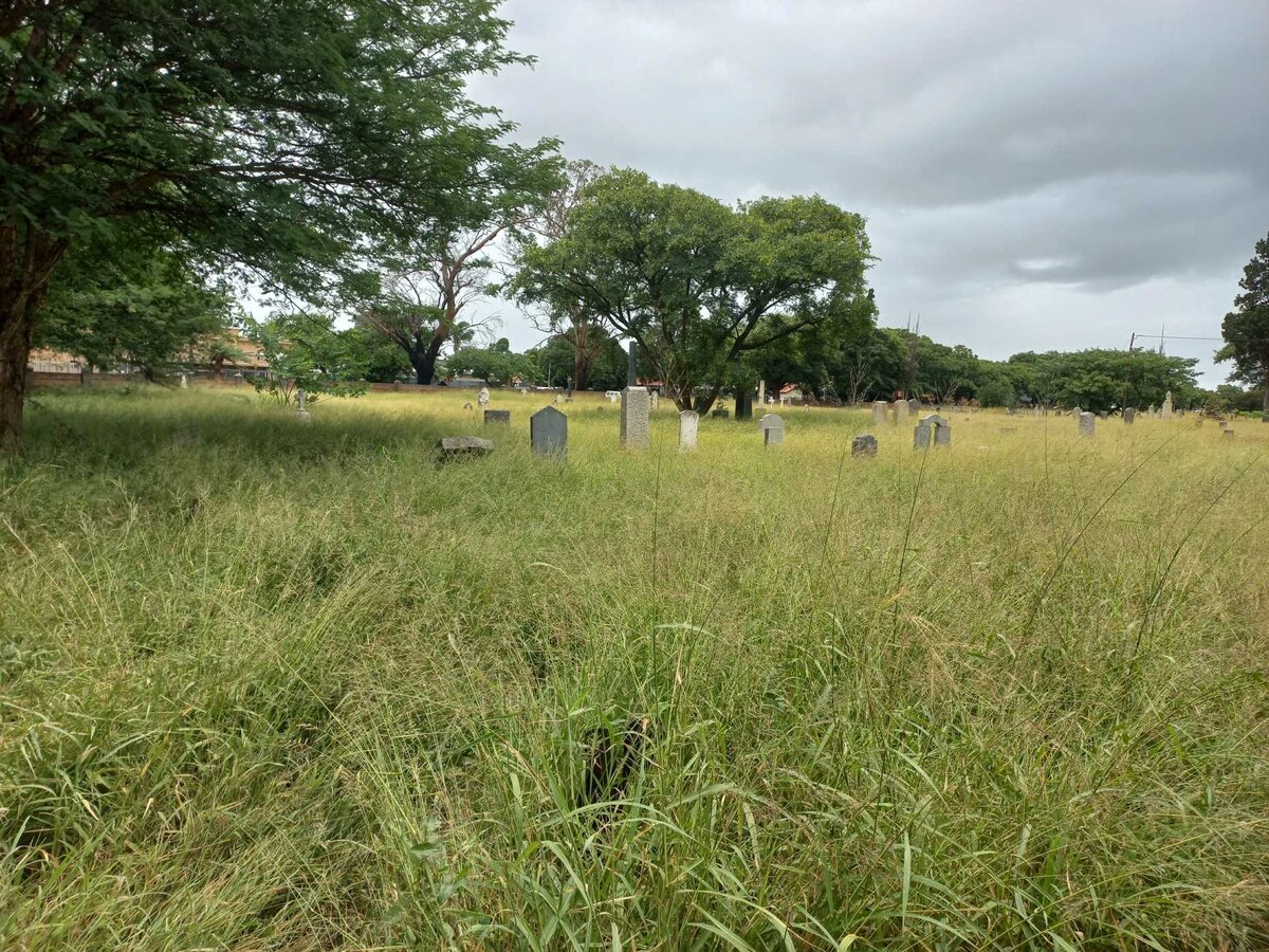 08. Oorsig / Overview - very neglected and overgrown section