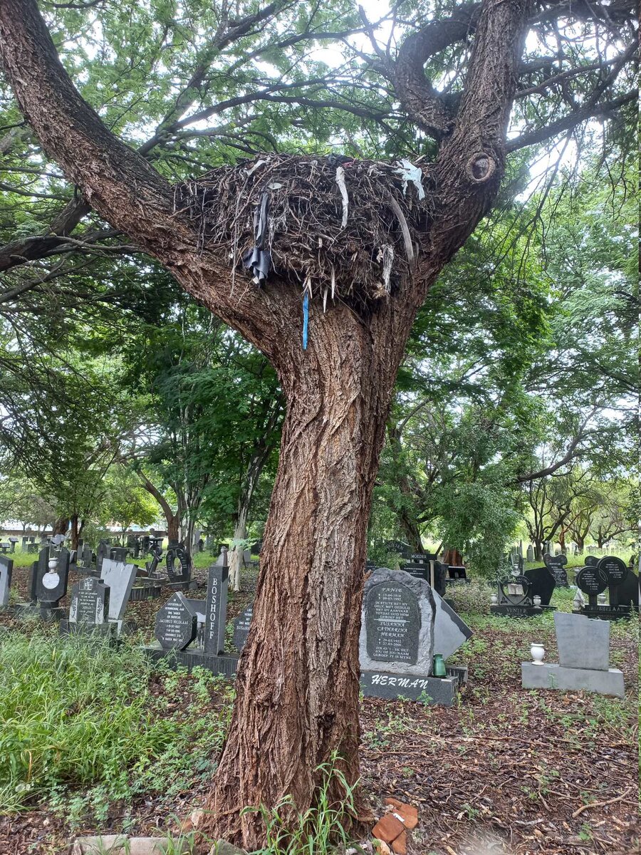 09. Oorsig / Overview