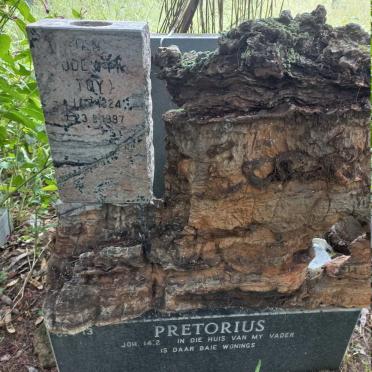 PRETORIUS Jan Lodewyk 1924-1997_1