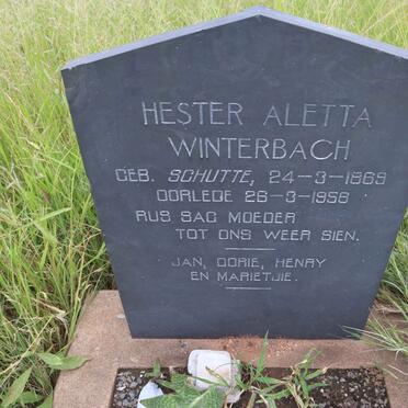 W-Surnames :: Vanne-W