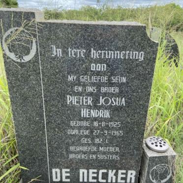 NECKER Pieter Josua Hendrik, de 1925-1965