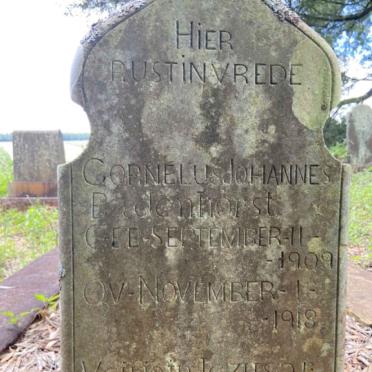 BADENHORST Cornelus Johannes 1909-1918