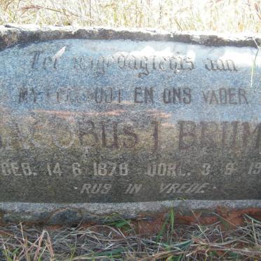 BRUMMER Jacobus J. 1878-1959