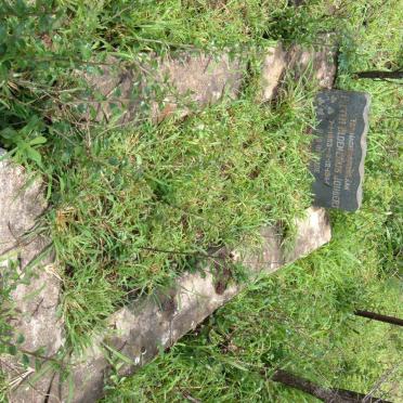 Limpopo, SOUTPANSBERG district, Morbeng, De Windam 775 LS, farm cemetery