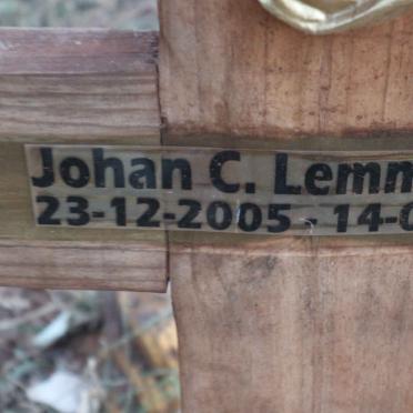 LEMMER Johan C. 2005-2012