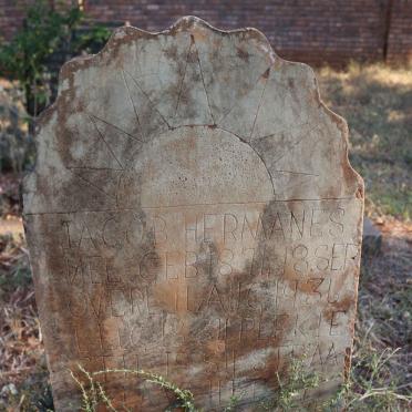 N - Vanne :: Surnames - N