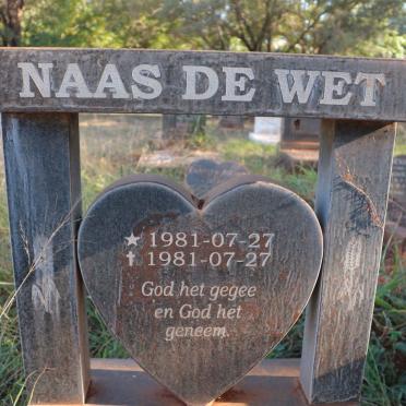 WET Naas, de 1981-1981