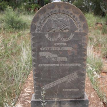 MEYER Johan George 1843-1923