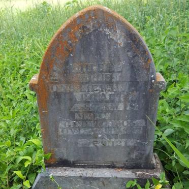 BEZUIDENHOUT M.J.C. 1905-1927