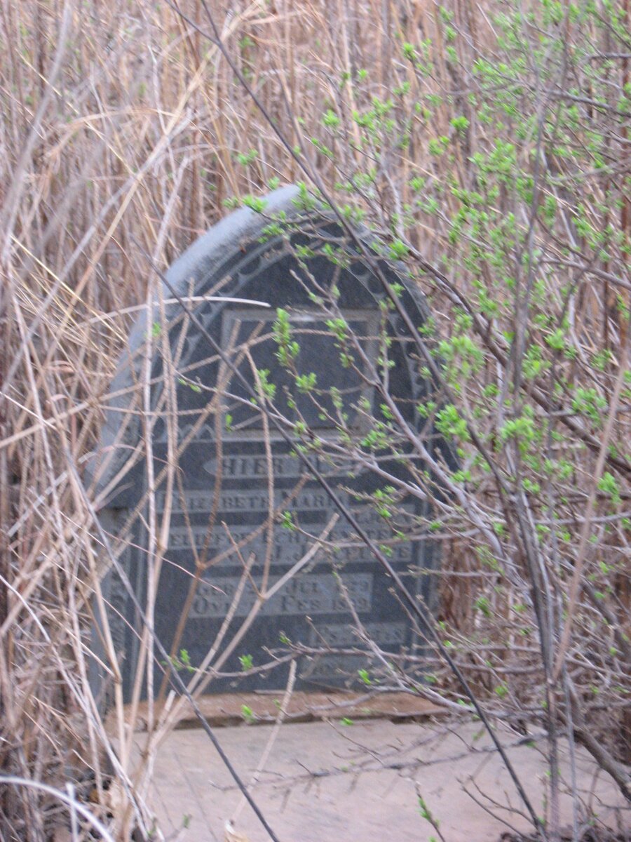 SCHUTTE Elizabeth Maria nee VILJOEN 1879-1899