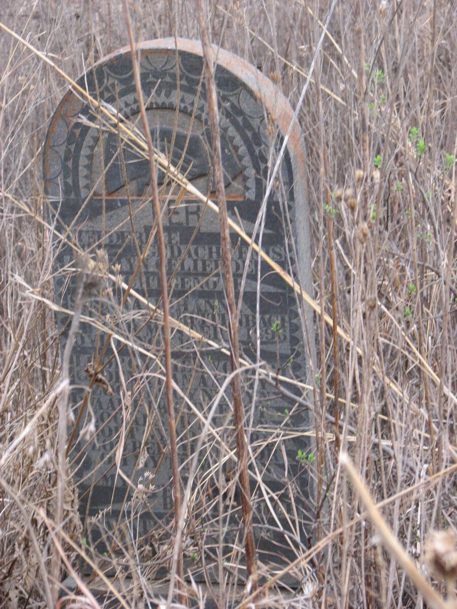 SCHUTTE Susara Johanna nee BREITENBACH -1885