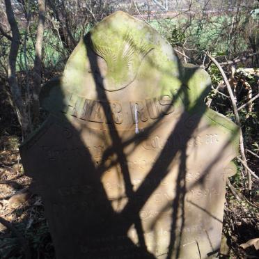 HARBER Henry William 1882-1892