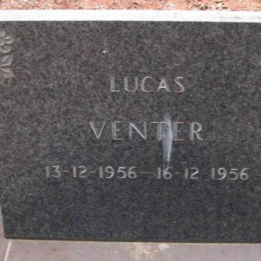 VENTER Lucas 1956-1956