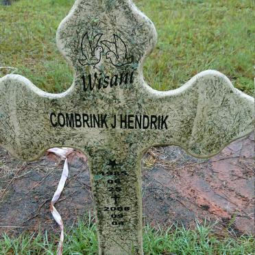 COMBRINK J. Hendrik 1985-2008