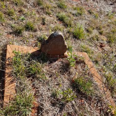 Limpopo, WATERBERG district, Sandrivierberge, Witpoort 182, farm cemetery