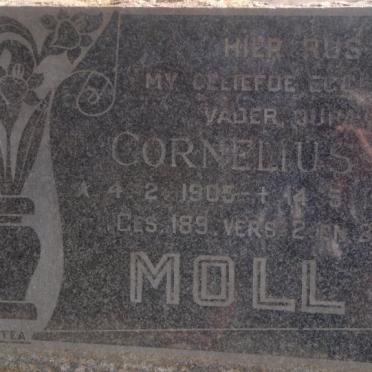 MOLL Cornelius 1905-1969