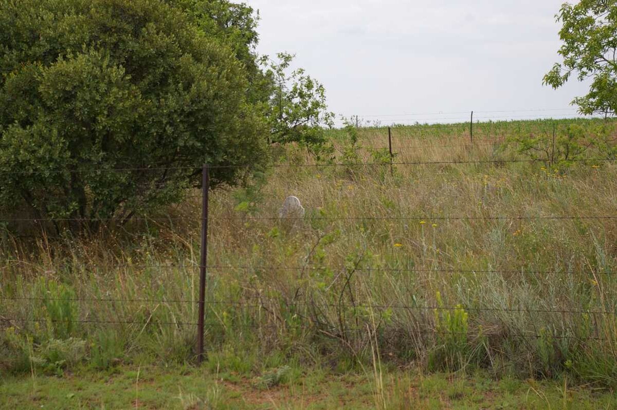 5. Oorsig / Overview