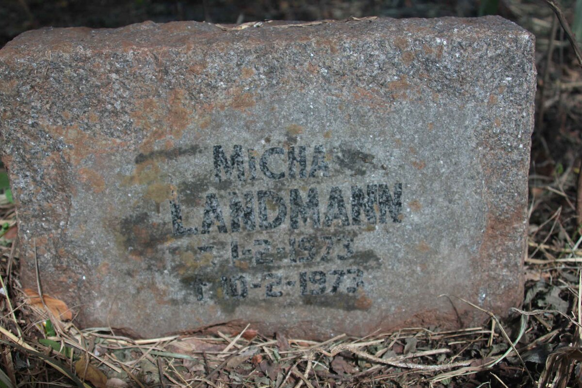 LANDMANN Michael 1973-1973