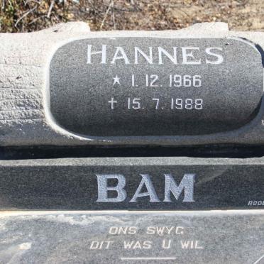 BAM Hannes 1966-1988