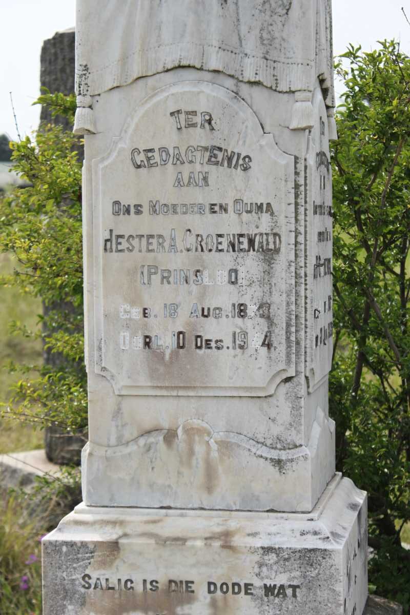 GROENEWALD Hester A. nee PRINSLOO 1873-1944