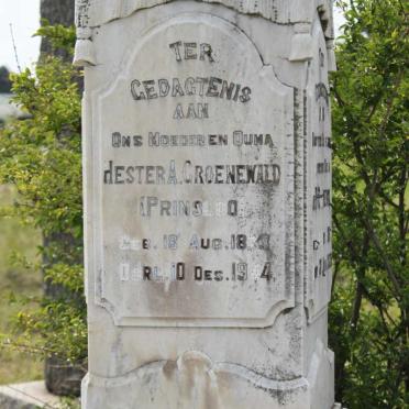 G - Surnames :: Vanne - G