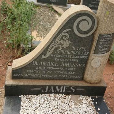 JAMES Diederick Johannes 1913-1963