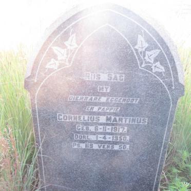 STRYDOM Cornelius Martinus 1917-1950