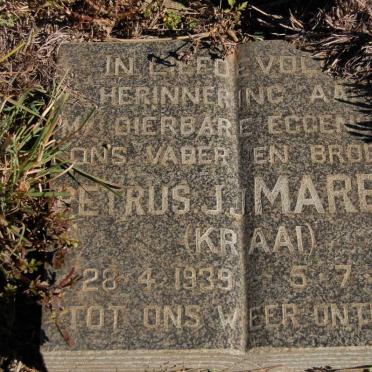 MAREE  Petrus J.J. 1939-1994