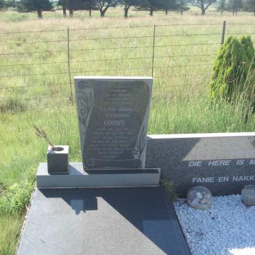 Mpumalanga, BALFOUR district, Klipfontein 450_01, farm cemetery