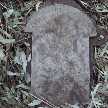 SCHOEMAN Pieter J. 1881-1918