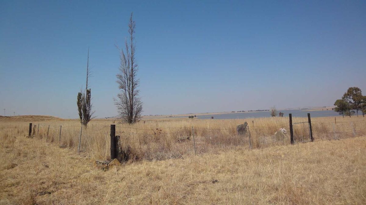 1. Oorsig / Overview