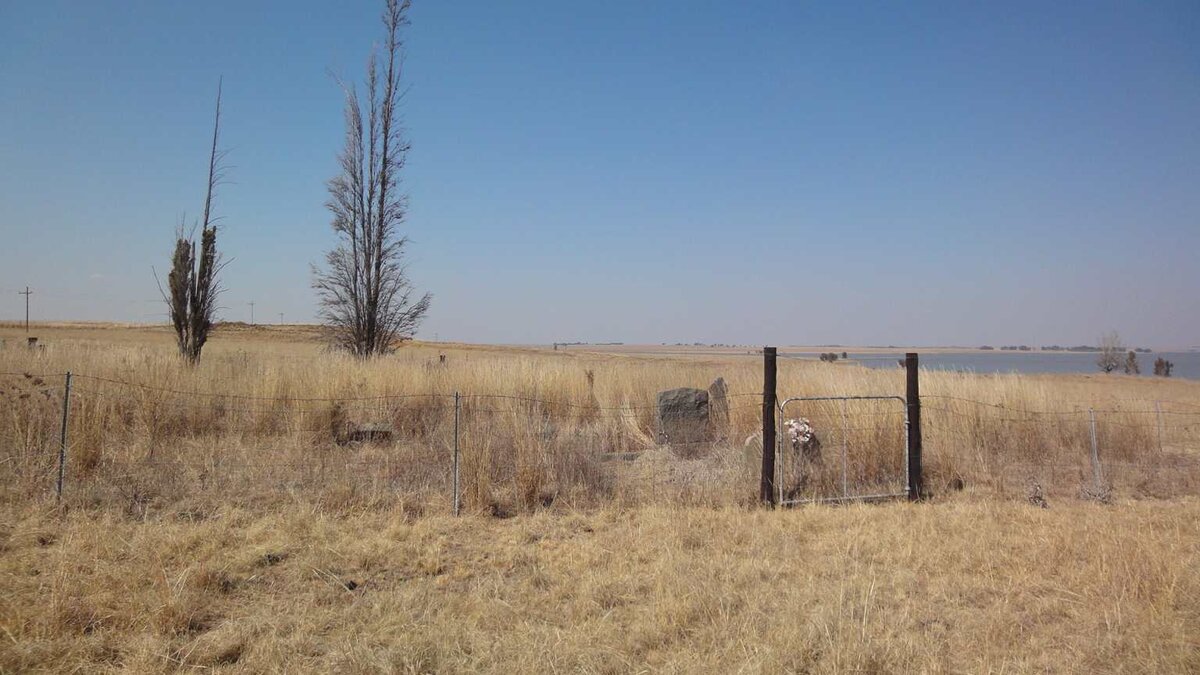 2. Oorsig / Overview