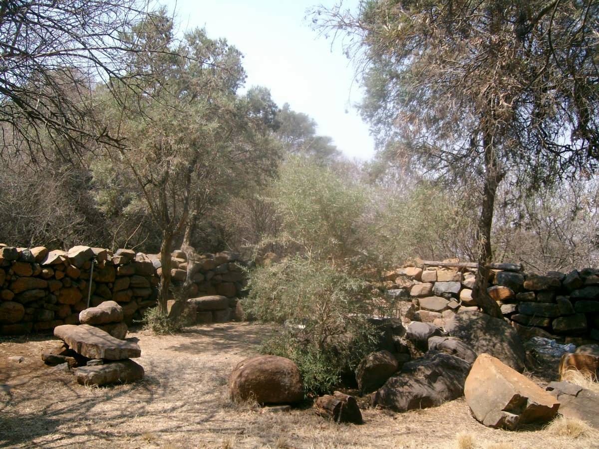 SANYO DIGITAL CAMERA