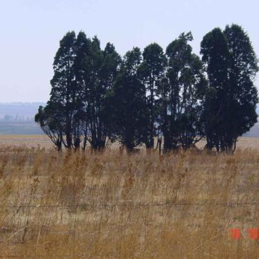 Mpumalanga, BALFOUR district, Vlakfontein 558, farm cemetery