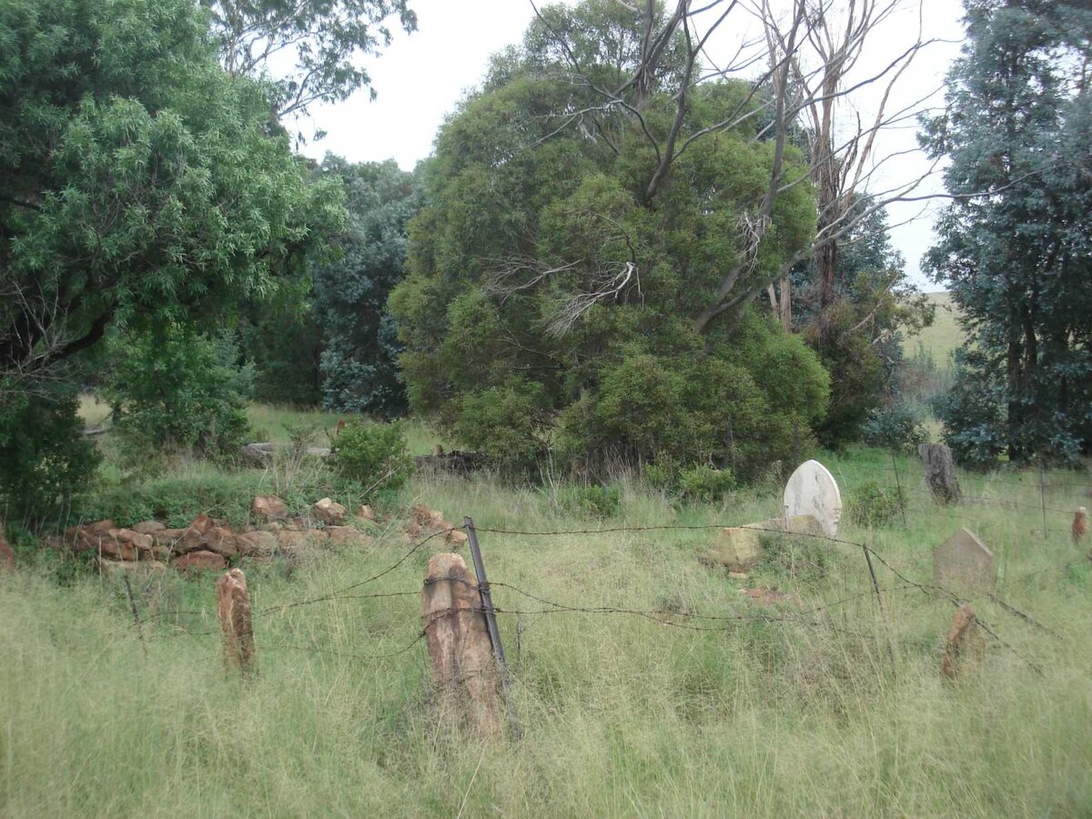 2. Overview / Oorsig