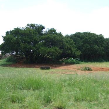 1. Overview of the cemetery area