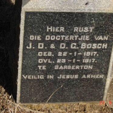 BOSCH Dogtertjie 1917-1917