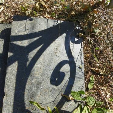 DUNCAN W.W. 1905-1956